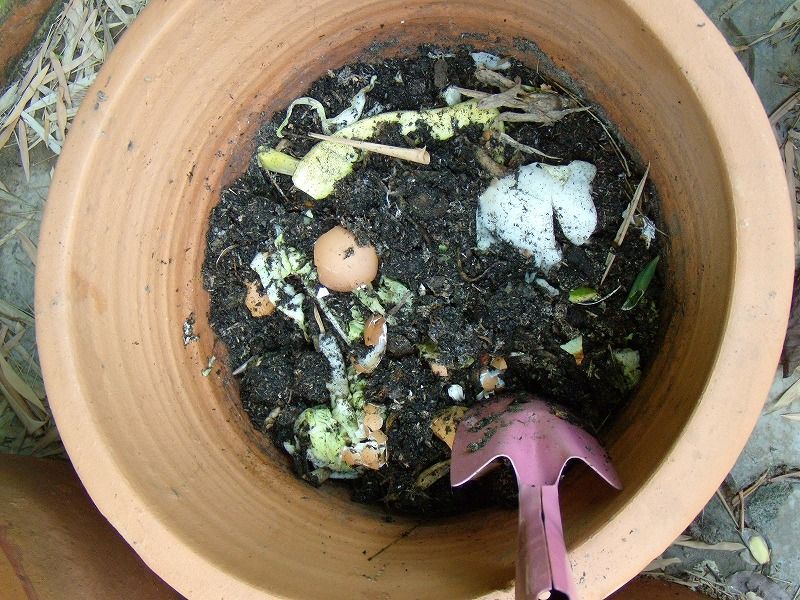 植木鉢で生ゴミをコンポスト化